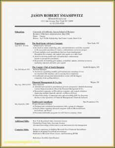 Word Document Cv Template Free