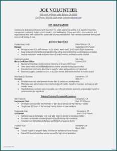 Word Document Resume Template Free