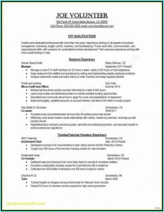 2011 W2 Form Pdf Fillable