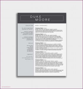 A Resume Outline