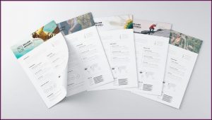 Absolutely Free Resume Creator