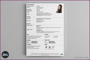 Absolutely Free Resume Maker