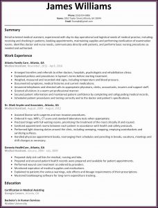 Admin Executive Resume Word Format