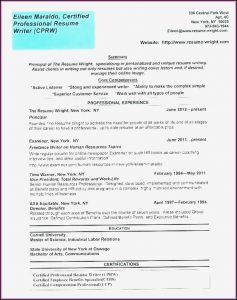 Affordable Professional Resume Writing Services