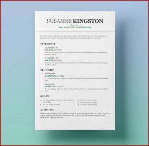 Amazing Resume Templates Free