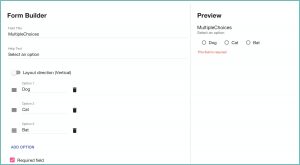 Angularjs Form Builder Example