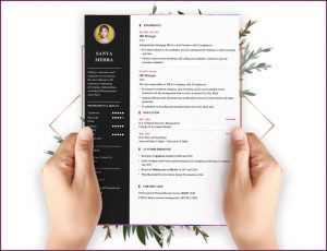 Are There Any Free Resume Builder Sites