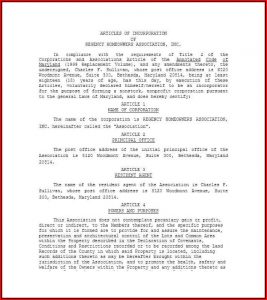 Articles Of Incorporation Texas Non Profit Template