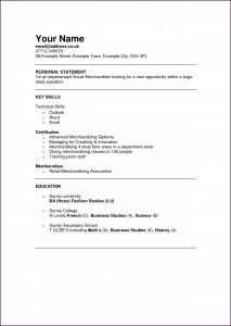 Attractive Resume Templates For Freshers Free Download