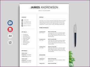 Attractive Resume Templates Free Download Word