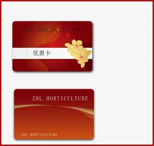 Avery Business Cards Template 8373