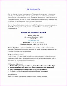 Aviation Cv Template