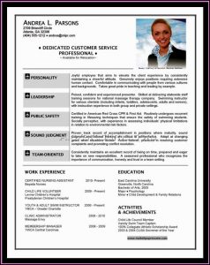 Aviation Pilot Resume Template