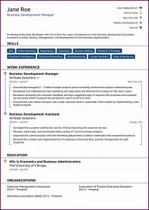 Basic Resume Template