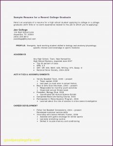 Basic Resumes Samples