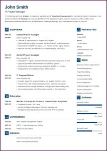 Best Professional Resume Format Free Download