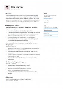 Best Resume Format 2018 Free Download