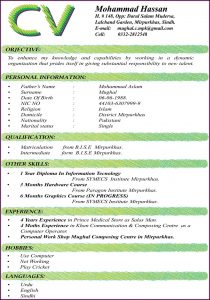 Best Resume Format Doc Free Download