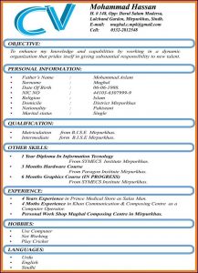 Best Resume Format For Freshers Free Download Pdf