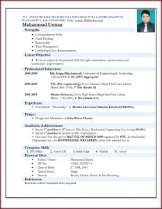 Best Resume Format Free Download For Fresher