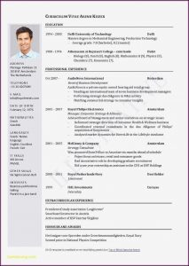 Best Resume Format Pdf Free Download