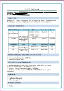 Best Resumes For Chartered Accountants