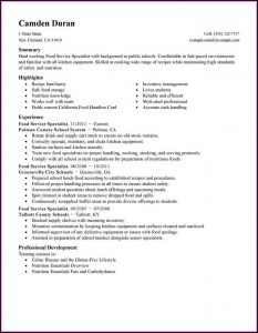 Business Resume Template Microsoft Word