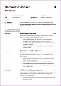 Construction Project Manager Resume Builder