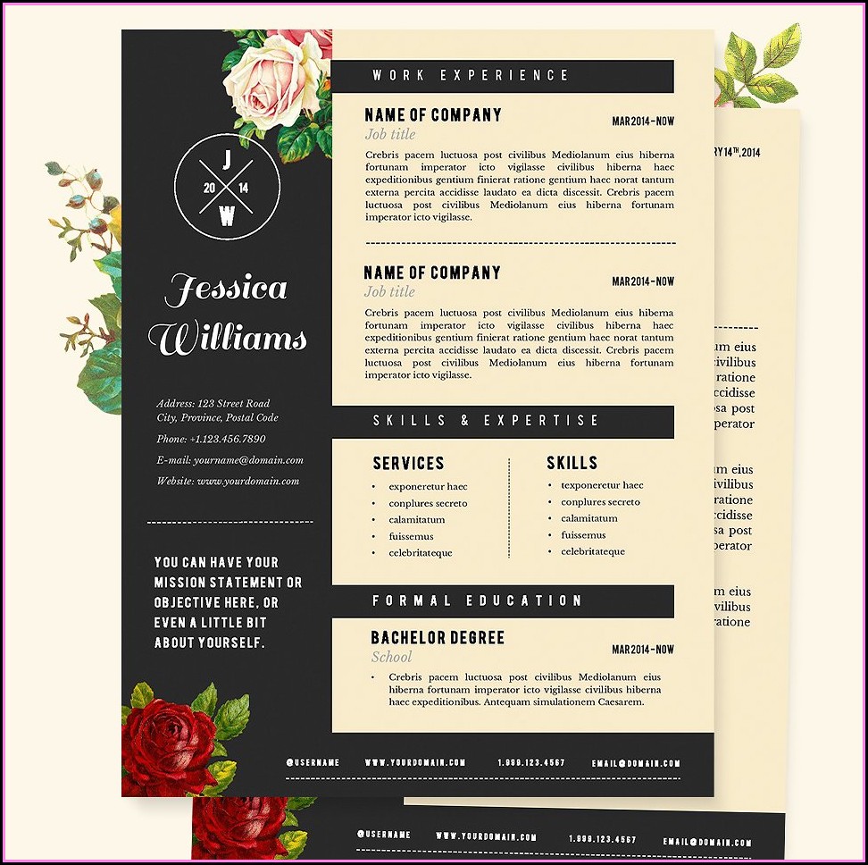Creative But Professional Resume Templates