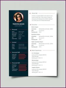 Creative Professional Cv Template