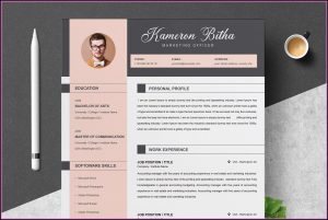 Creative Professional Cv Template Free