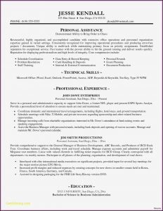 Creative Professional Resume Templates Free Download
