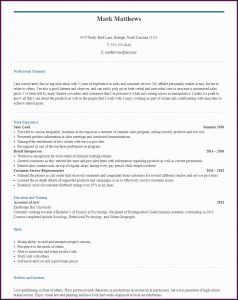 Curriculum Vitae Template Blank