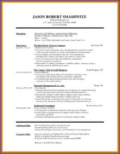 Cute Resume Templates Free