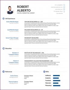 Cv Format Template Word Free Download