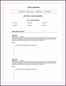 Cv Template Blank