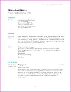 Cv Template Software Developer