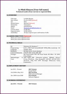 Cv Template Software Engineer
