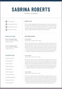 Director Resume Template Word
