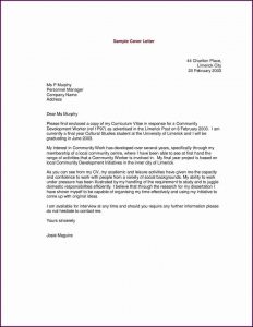 Distribution Executive Resume