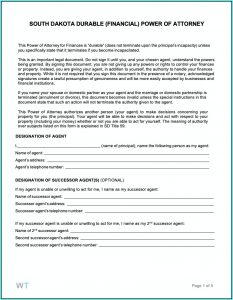 Durable Power Of Attorney Form Ny 2019