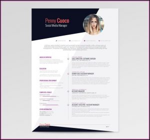 Editable Cv Templates Free Download