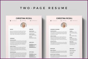 Editable Cv Templates Free Download Psd
