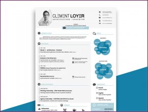 Editable Infographic Resume Template Free Download