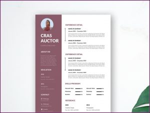 Editable Resume Template Free Download