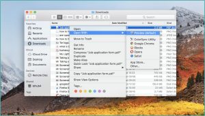Editing Pdf Forms On Mac