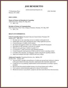 Education Counselor Resume Template