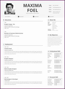 Elegant Resume Template Free Download