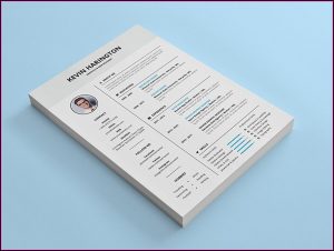 Elegant Resume Template Microsoft Word Free