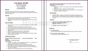 Examples Of Icu Nurse Resumes